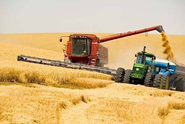 Рекордные сборы урожая не уменьшат цены на продукты